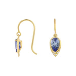 Dee Drop Earrings Drop Earrings Amy Gregg Jewelry