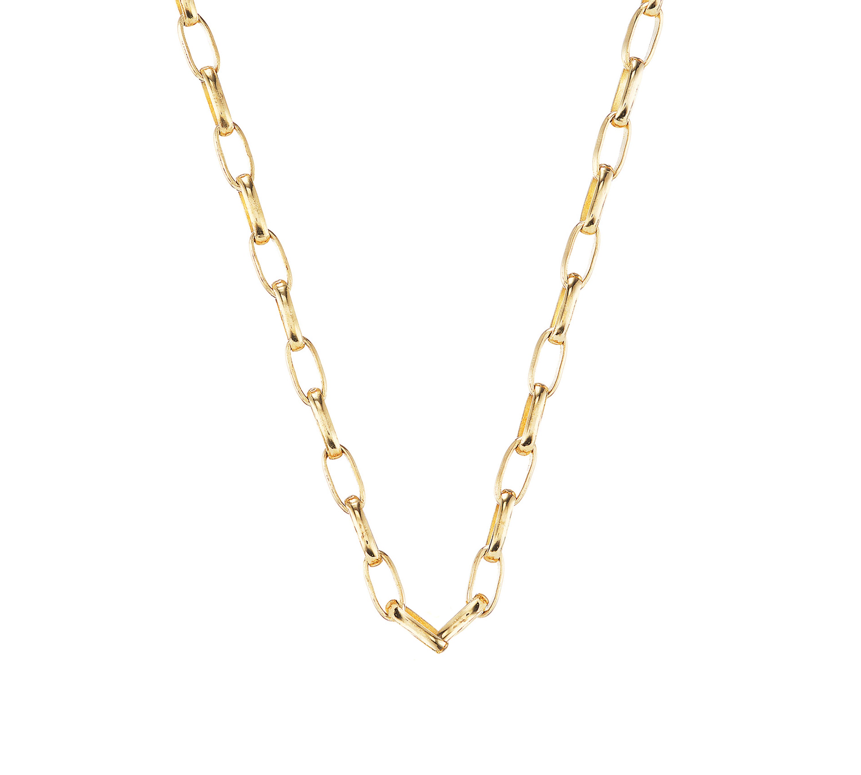 Gold Link Chain Chain Necklace Akaila Reid