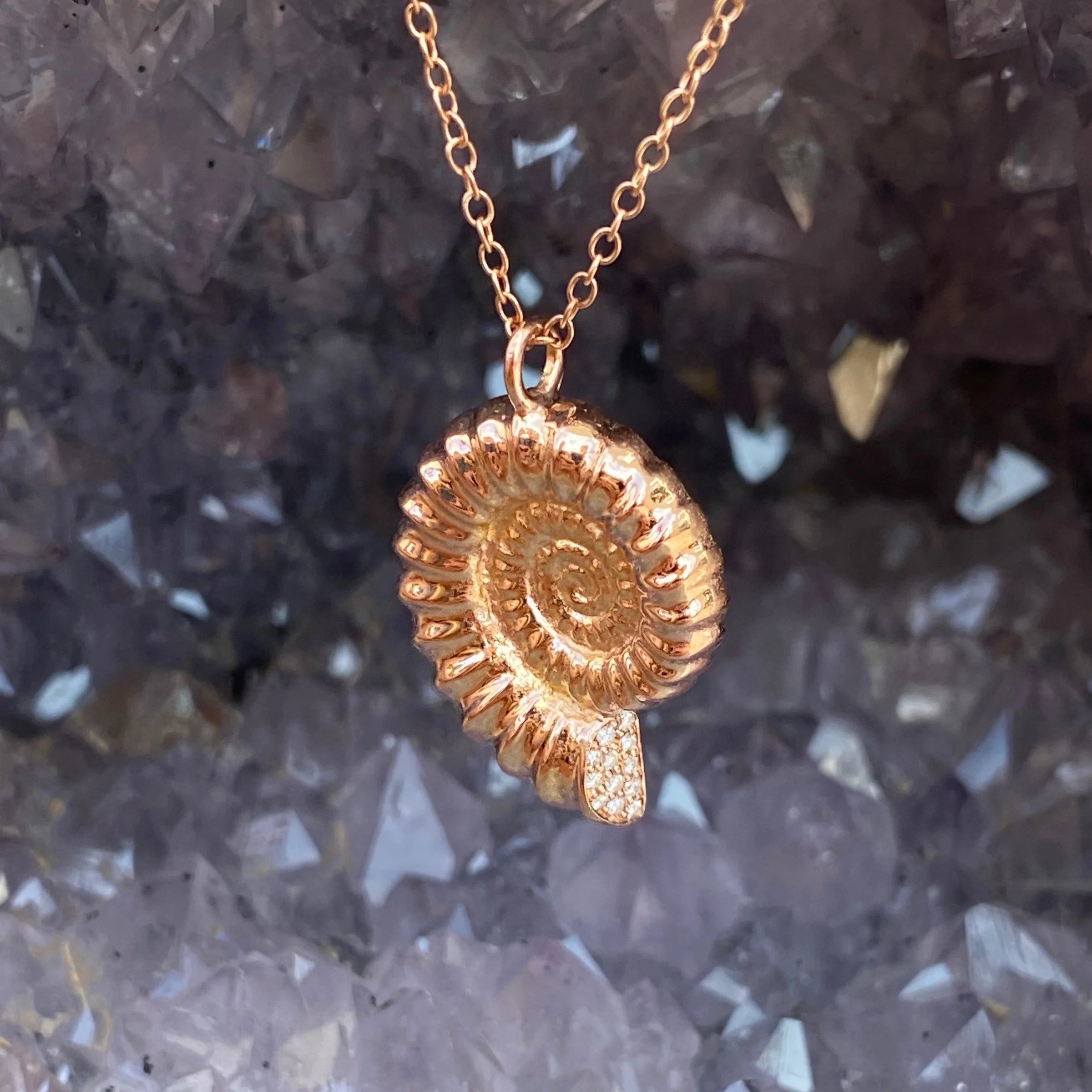 Ammonite Necklace Pendant Elisabeth Bell Jewelry   