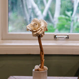 Mini Elizabeth Sculpture Sculpture Little World Design