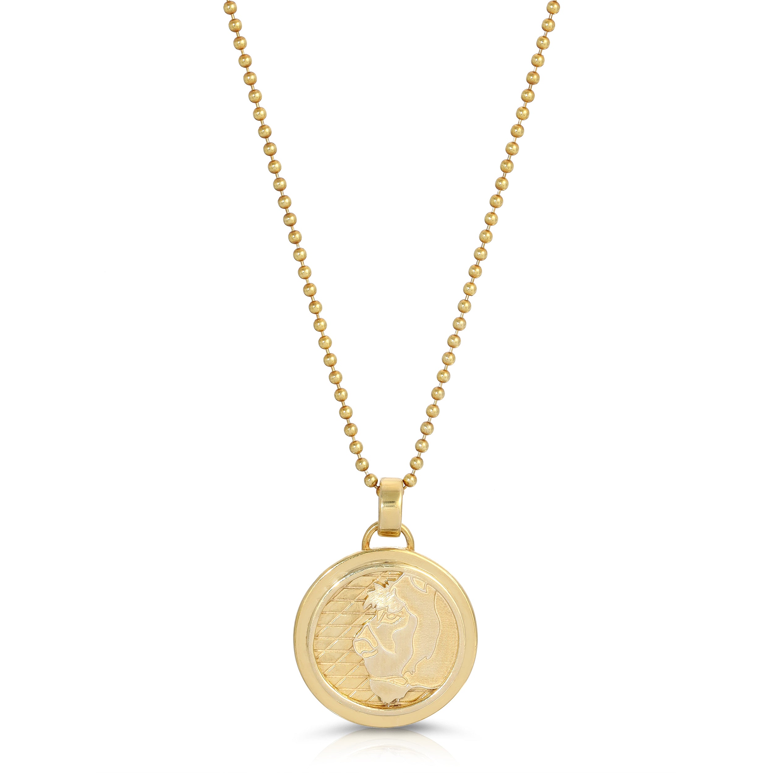Gold Lioness Coin Necklace, Medium Pendant Necklace MAE + LANG 16 inch