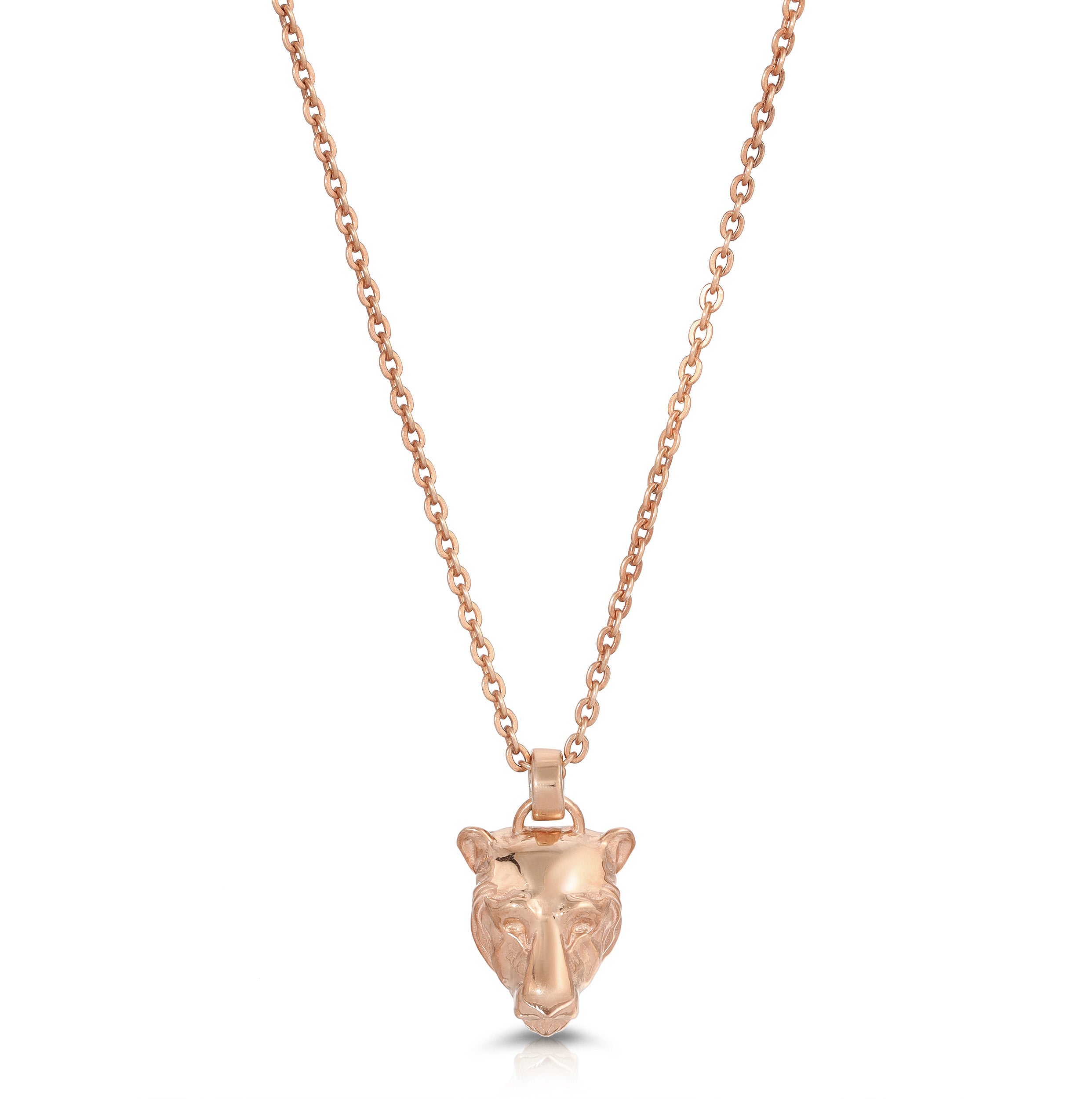 Lioness Charm Necklace Pendant Necklace MAE + LANG 16 inch Rolo Chain Rose gold