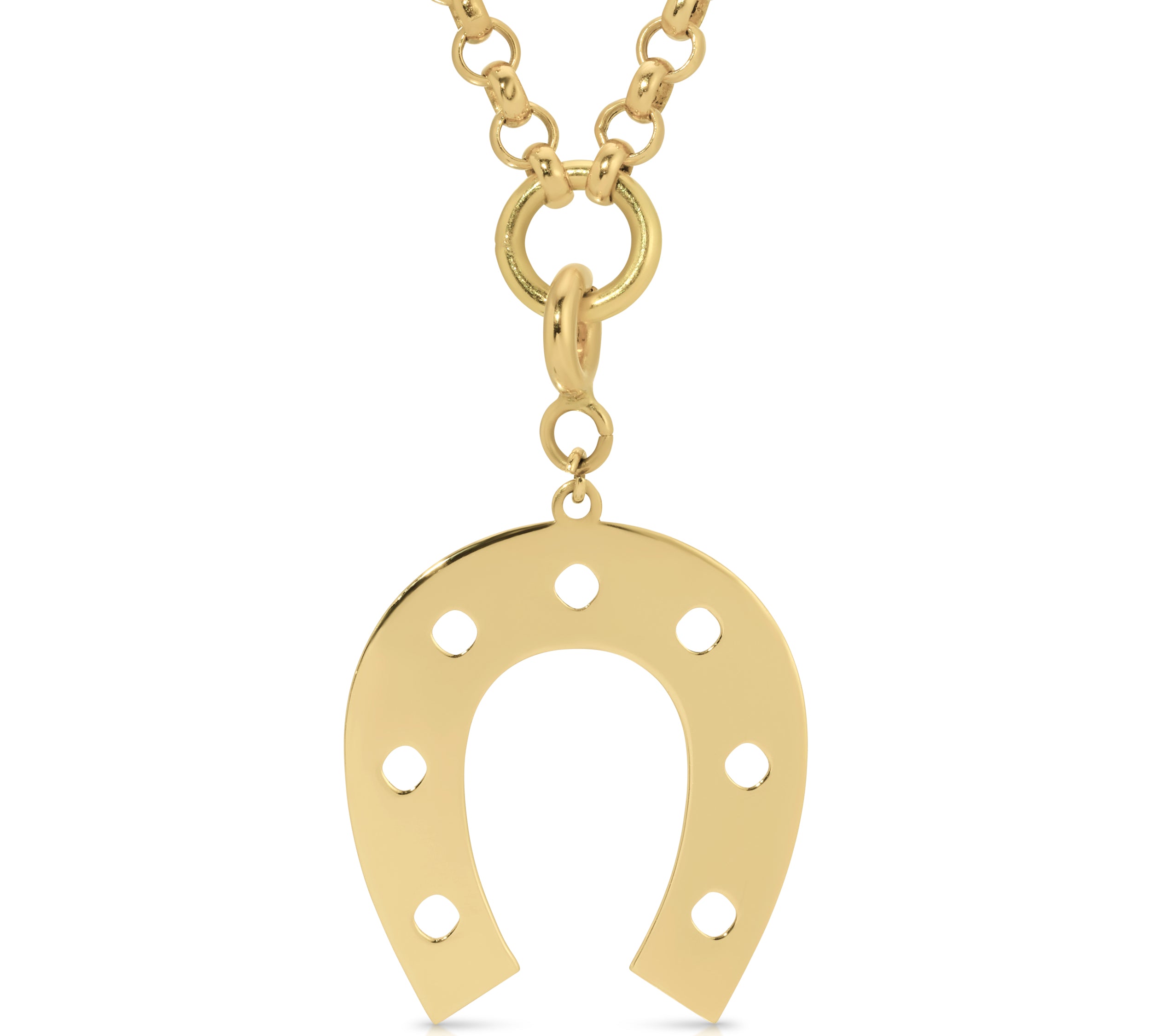 Play with My Horseshoe Charm Leia K