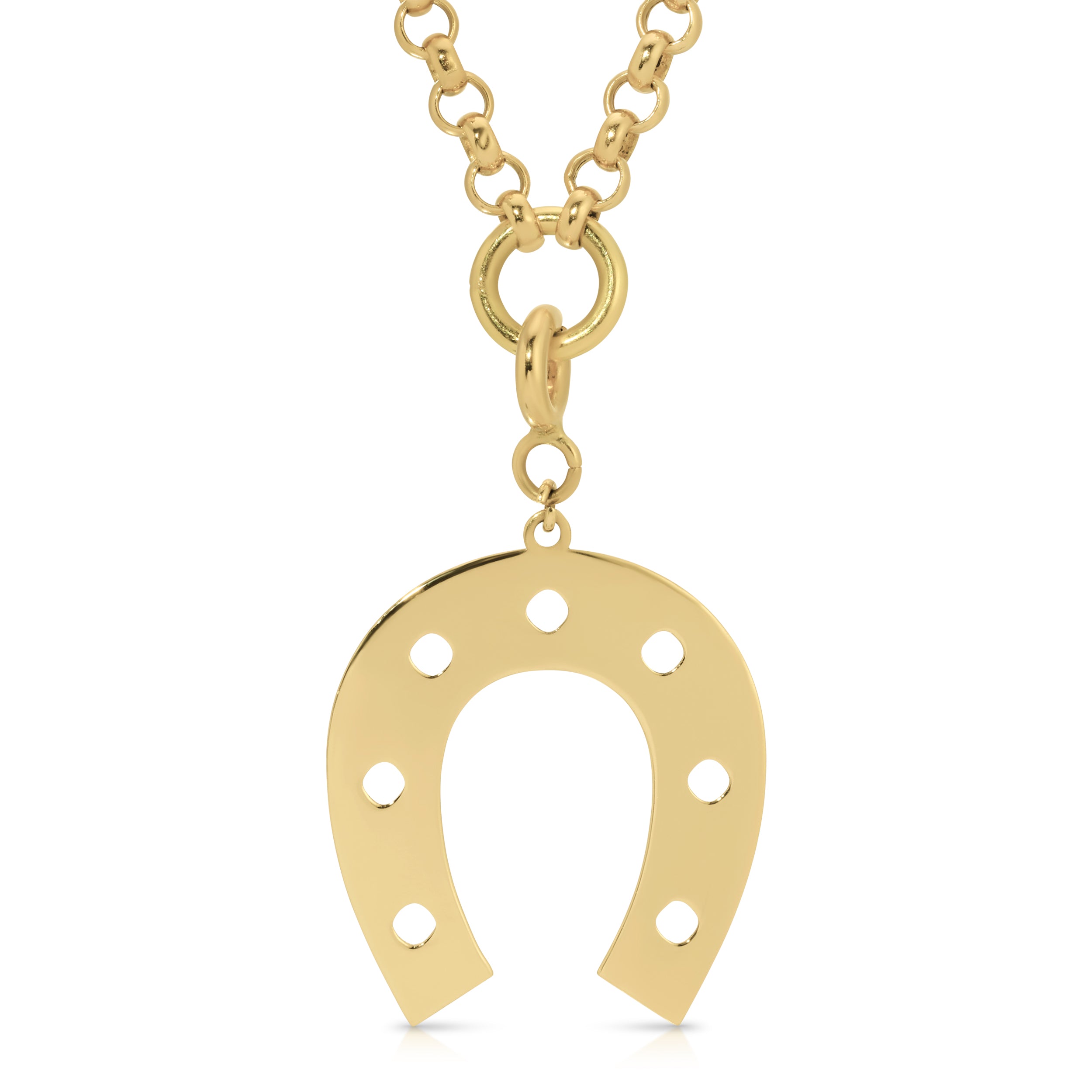Play with My Horseshoe Charm Leia K