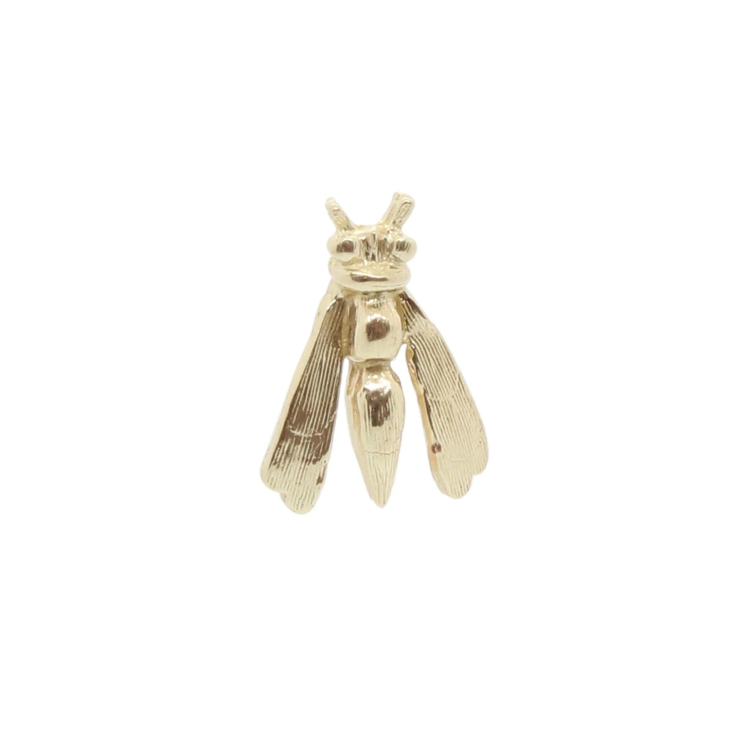 Moth Stud Stud Earrings Roseark Deux