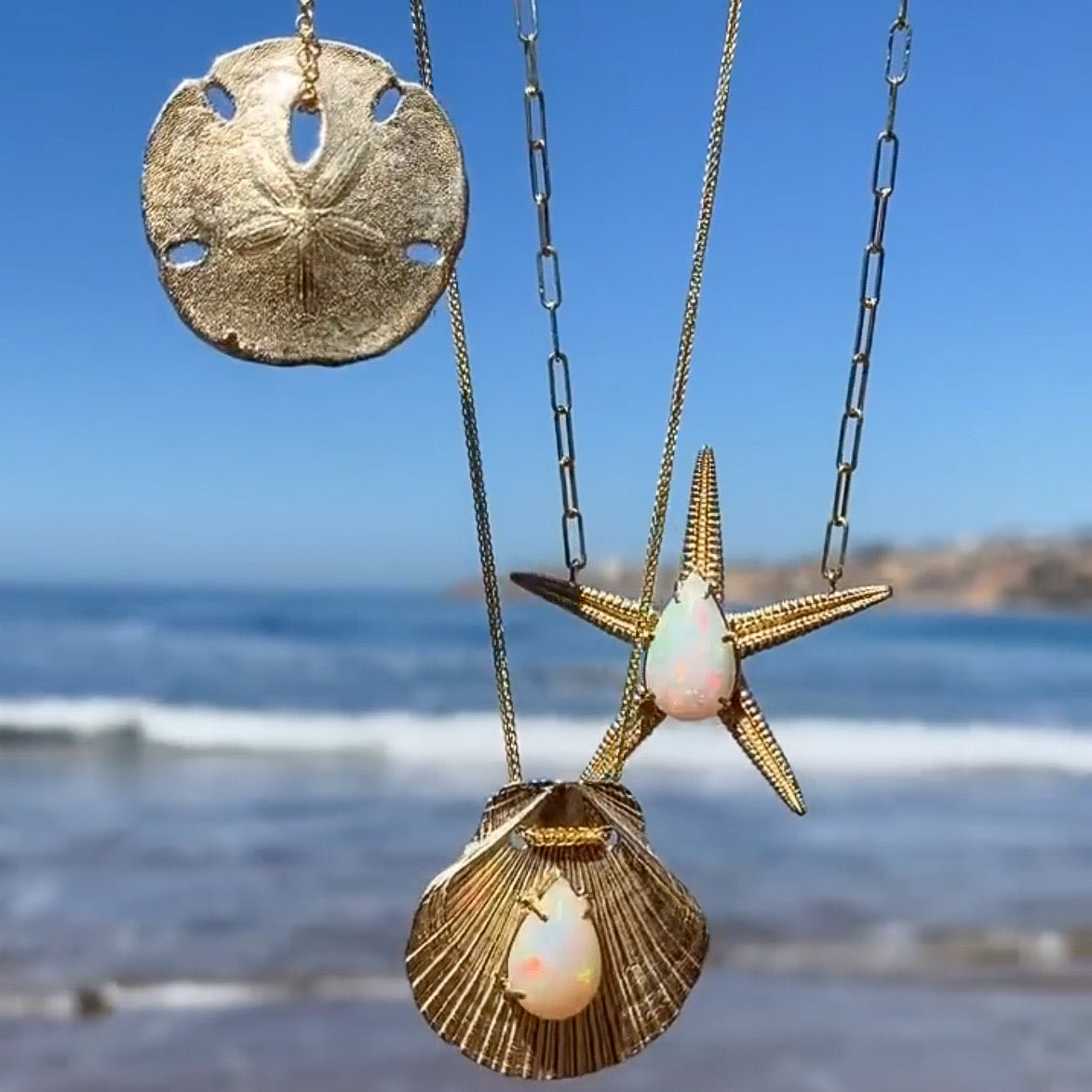 Large Sand Dollar Necklace Pendant Elisabeth Bell Jewelry   