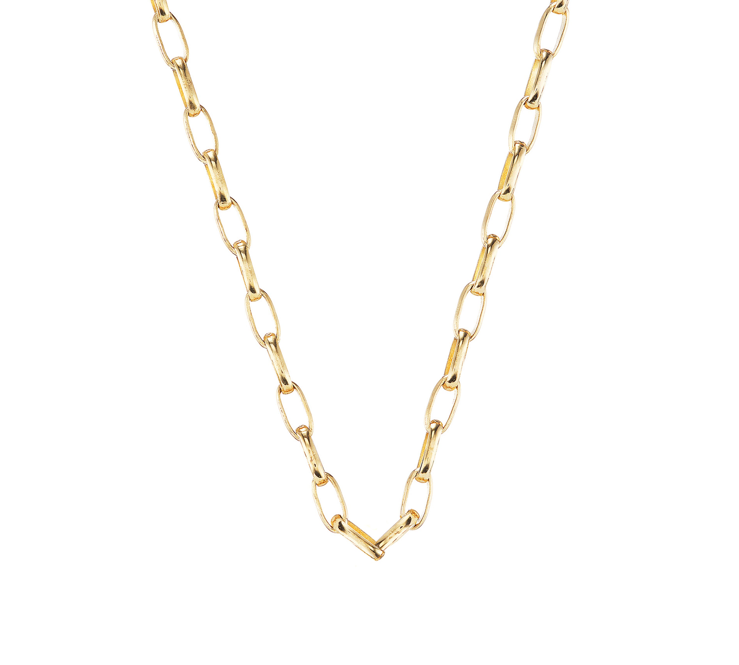 Gold Link Chain Chain Necklace Akaila Reid   