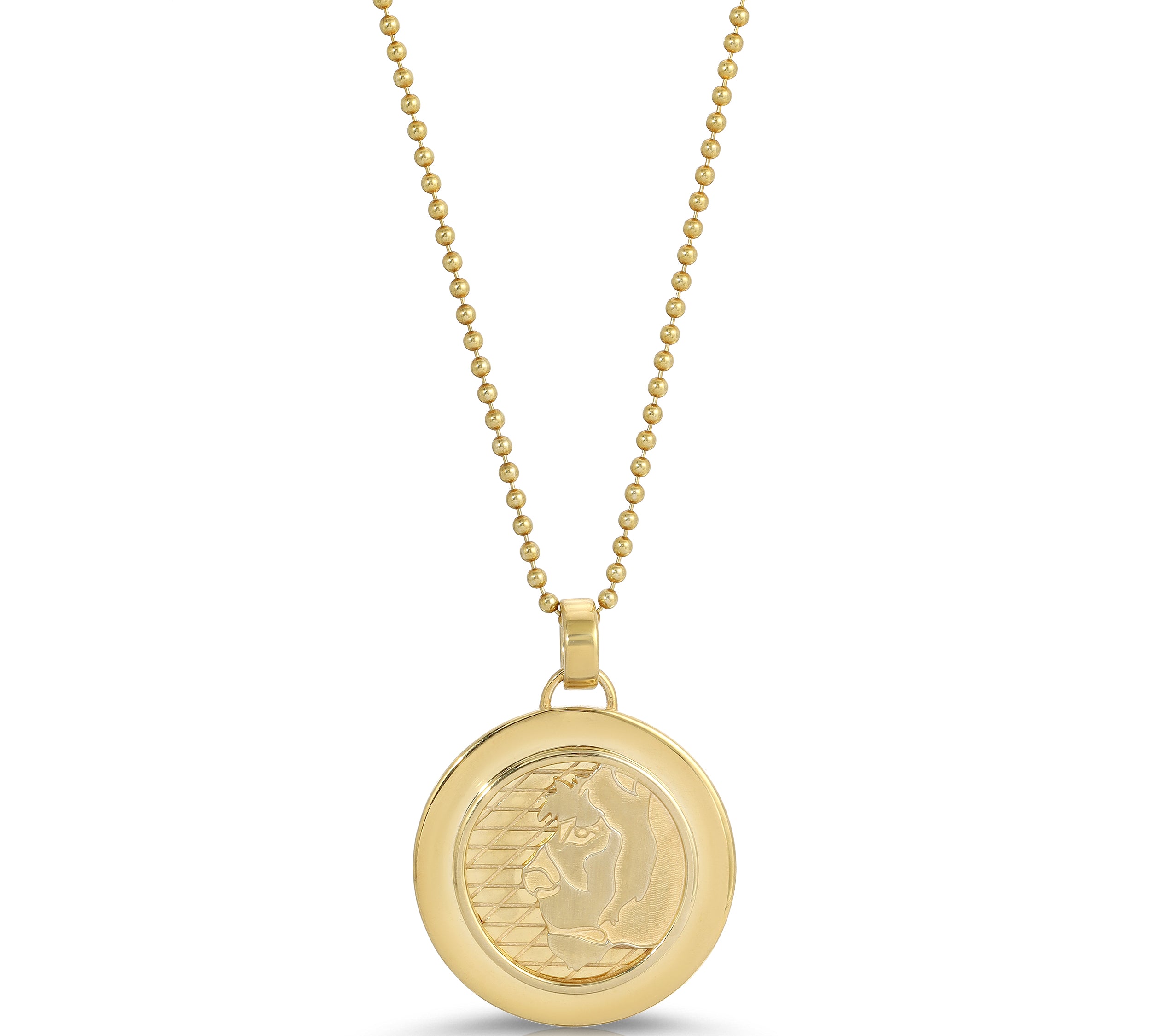 Lioness Coin Necklace, Large Necklaces MAE + LANG 16 inch  