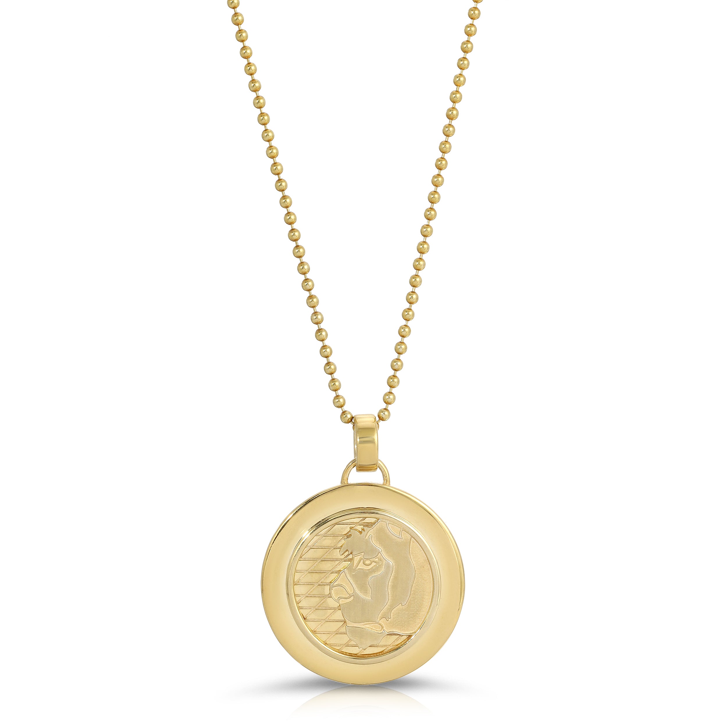 Lioness Coin Necklace, Large Necklaces MAE + LANG 16 inch  