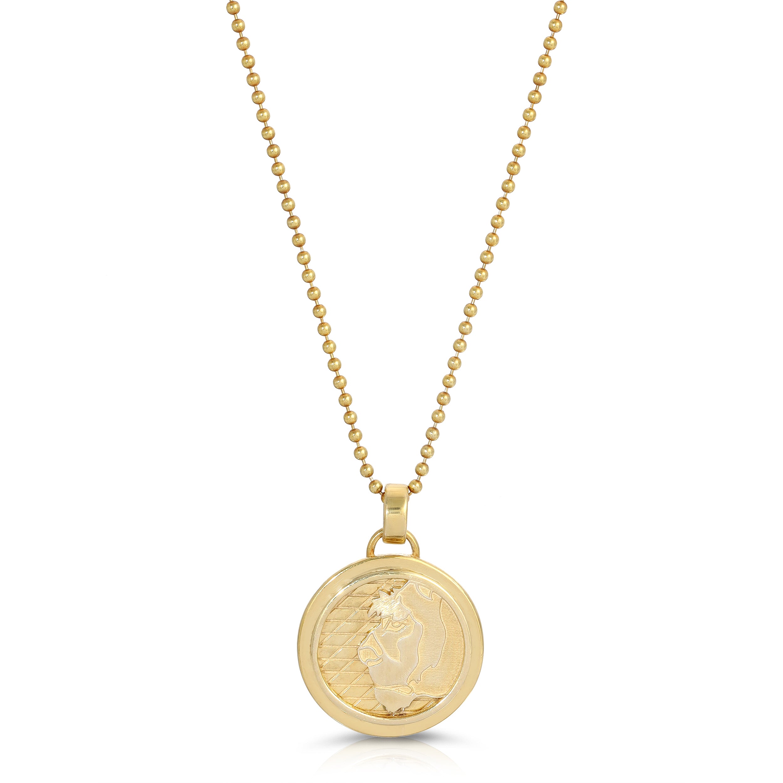 Lioness Coin Necklace, Medium Necklaces MAE + LANG 16 inch  