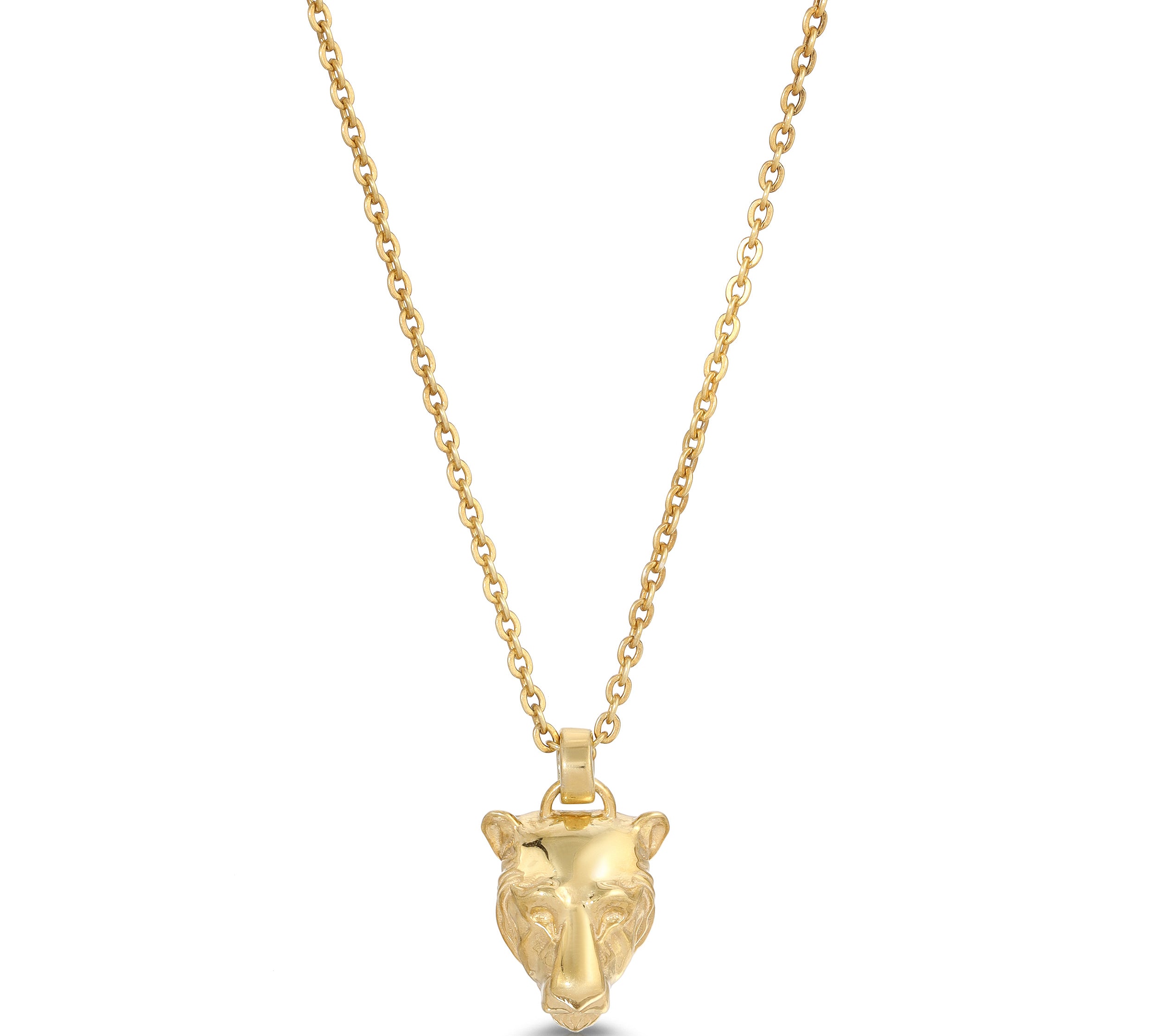 Gold Lioness Charm Necklace Necklaces MAE + LANG 16 inch Rolo Chain Yellow Gold