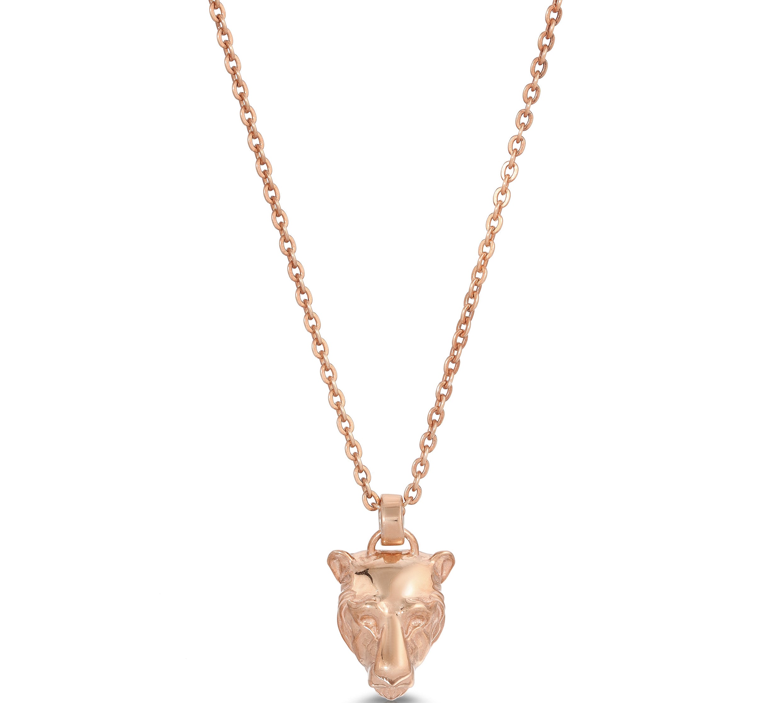 Gold Lioness Charm Necklace Necklaces MAE + LANG 16 inch Rolo Chain Rose gold