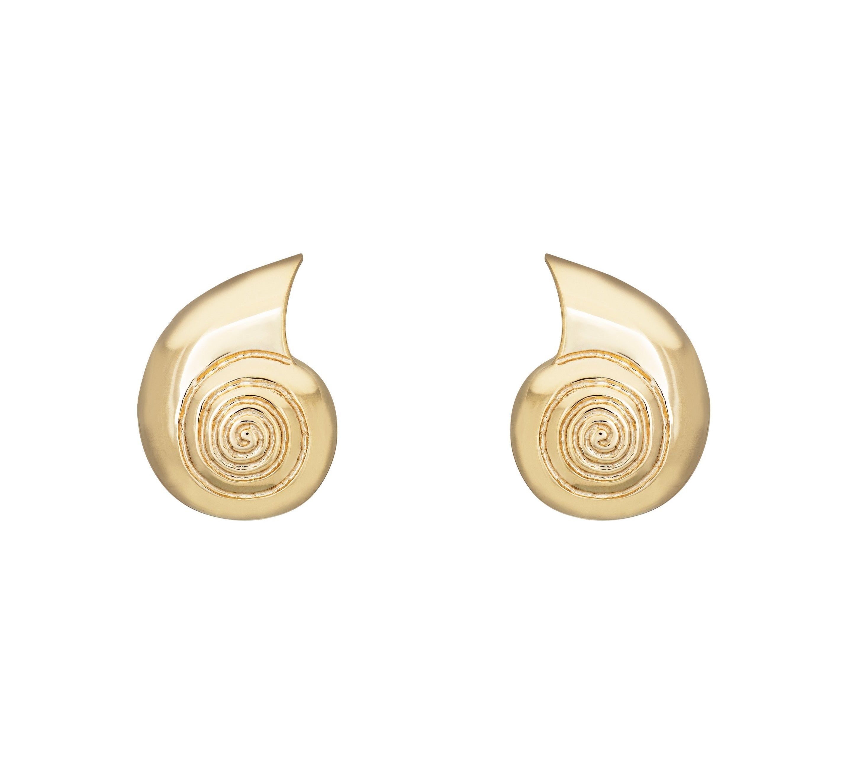 Nautilus Shell Earrings Stud Earrings Kathryn Bentley Large  