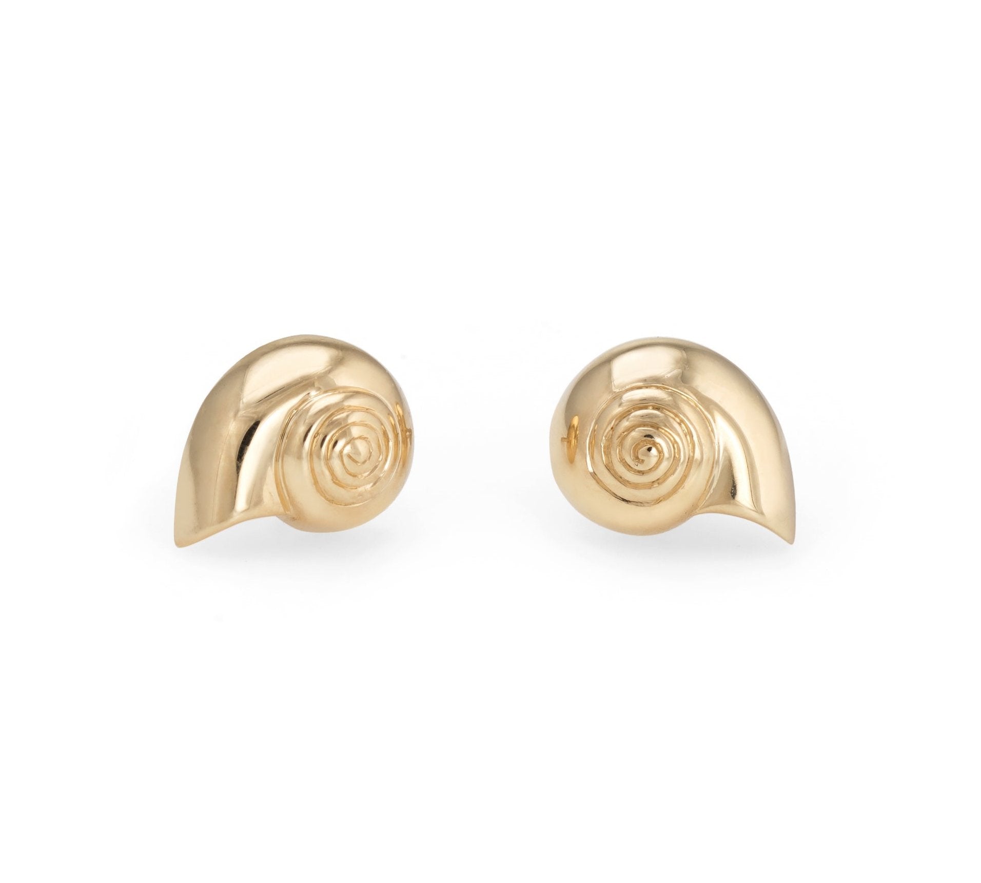 Nautilus Shell Earrings Stud Earrings Kathryn Bentley Small  