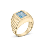 Adelaide Ring in Sky Blue Topaz Ring Lelamooi 14kt Yellow Gold Vermeil  